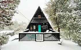 Dog Friendly A-Frame Hot Tub Nature Views